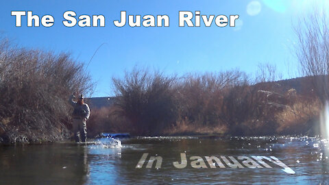 San Juan River in January - Large Rainbows and Nymphing Streamers - McFly Angler Episode 40