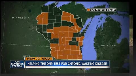 Wisconsin DNR asks for hunters' help in fighting deer disease