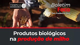 Produtos biológicos na produção de milho