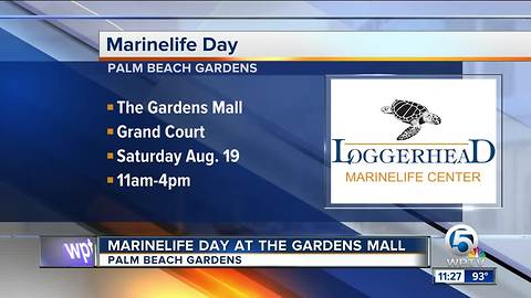 Marinelife Day at The Gardens Mall on Aug. 19
