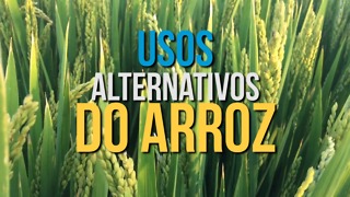 Os Incríveis Usos Alternativos do Arroz