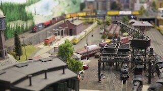 SOUTH AFRICA- Durban- Model train collectors (fho)