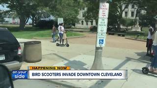 Flock of Bird scooters land in Cleveland