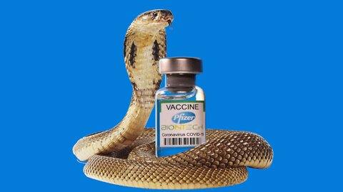 Snake venom substrate in vaccines! Does phosphocholine make peoples bodies produce snake venom?