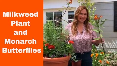 Butterfly Garden 🌿 Grow Milkweed for Monarch Butterflies! 🌿 EdenMakers