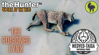 The Poisoned Lynx, Medved Taiga | theHunter: Call of the Wild (PS5 4K)