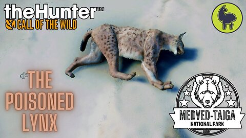 The Poisoned Lynx, Medved Taiga | theHunter: Call of the Wild (PS5 4K)