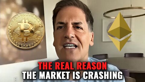 "Everyone Is WRONG About This Crypto Market Crash!" | Mark Cuban