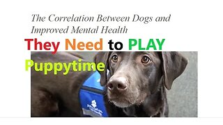 DOG Endorphins DIY 101 | Sniffing vs Playing | Happy Brain Chemicals | SUPER Good Boy