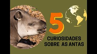 5 Curiosidades sobre as Antas