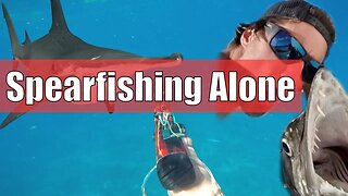 Hammerhead Shark! I Eat a HATED & SCARY Fish while Spearfishing ALONE | Catch and Cook