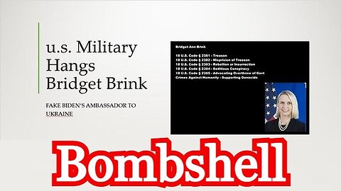 Bombshell - us Military Hangs Ambassador Bridget Brink at GITMO