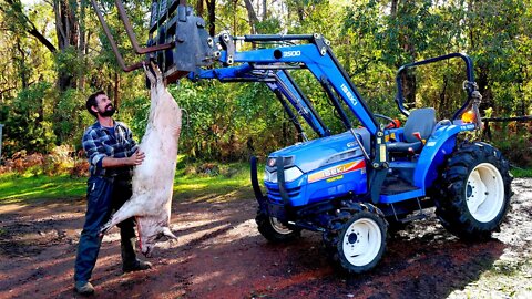 Processing, cooking and preserving our first pig on the farm.