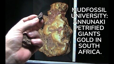 MUDFOSSIL UNIVERSITY: ANNUNAKI PETRIFIED GIANTS GOLD IN SOUTH AFRICA