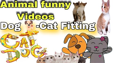 Funny 🐱 cat -dog|| Entertainment||Fitting Cat Dog || Animal Fitting Funny