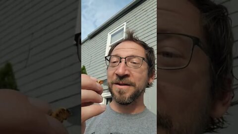 🐛Eating Grilled Caterpillar🐛 #worms #eatingbugs #survival