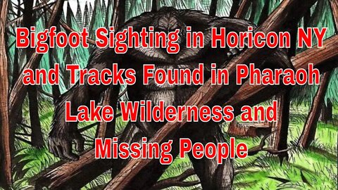 Bigfoot Sighting in Horicon NY and Tracks Found in Pharaoh Lake Wilderness and Missing People