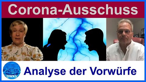 Corona Ausschuss - Analyse der Aussagen der streitenden Gesellschafter mit interessanten Ergebnissen