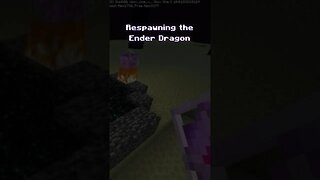 Minecraft Facts - “Chapter 22 - Respawning The Ender Dragon”