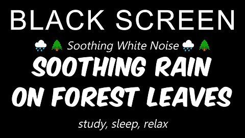 Soothing RAIN ON LEAVES | 10 Hours | study, sleep, relax