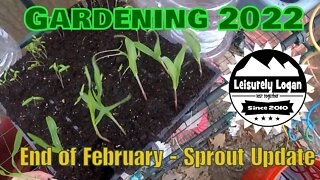 Garden 2022 : End Of February Sprout Update