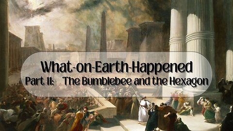 What-on-Earth-Happened Part 11: The Bumblebee and the Hexagon