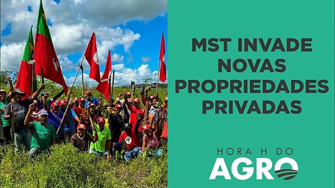 Abril Vermelho: MST invade propriedades da Embrapa e Suzano | HORA H DO AGRO
