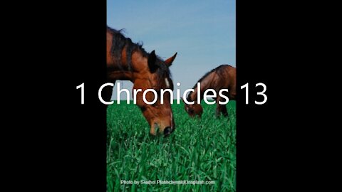 1 Chronicles 13 | KJV | Click Links In Video Details To Proceed to The Next Chapter/Book