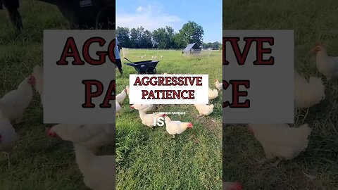 Aggressive Patience