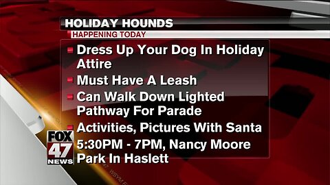 Holiday hounds