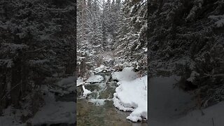 Fresh Canadian snowfall with soothing waterfall / stream / moving water sounds