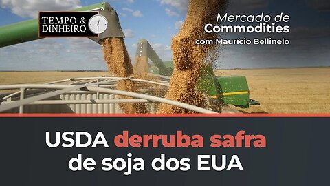 USDA derruba safra de soja dos EUA para 114,44 mil t e mantém em 163 milhões de t para o Brasil.