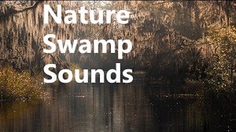 Swamp Night Sounds, Relaxing Rain And Bird Sounds, Forest Sounds, Lake Sounds, White Ambient Noise