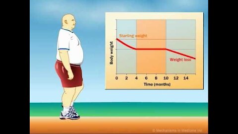 How Does Exercise Impact Weight Loss? Its Amazing...!