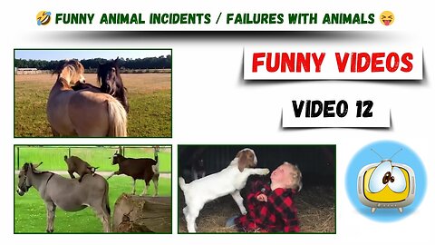 Funny videos / Funny animal incidents / Failures with animals