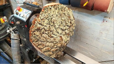 Woodturning - The Big Oak Burl