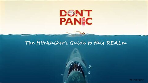 HItchhiker's Guide to this REALm