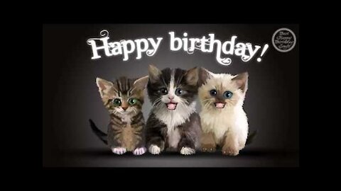 CAT HAPPY BIRTHDAY SONG