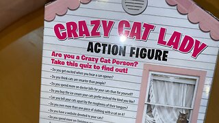 Close Look at @ Accoutrements Crazy Cat Lady Action Figure Multicolored, 8" inch Gift for Daughter