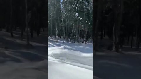 Skating through the woods