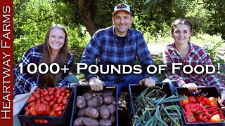 Harvesting 1,000+ Pounds of Food in ONE HOUR! | Fall Garden Harvest Stocking Up | Food Preservation