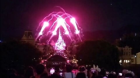 Firework at Disneyland at 8:30 PM