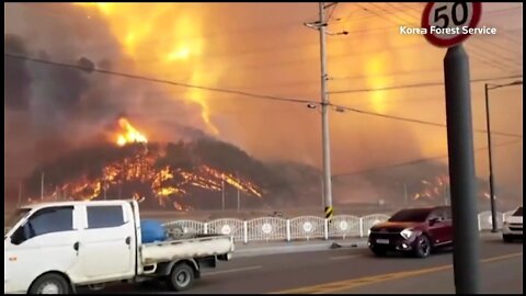 Huge Wildfire Burns Near Nuclear Power In South Korea