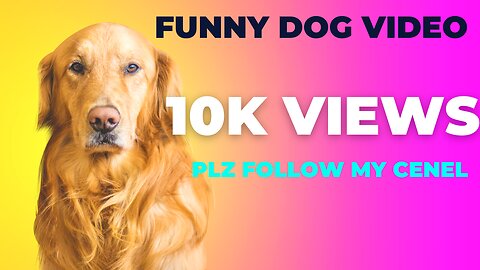 Funny Dog Video - Very Funny Video Funny animal videos | Cute animal videos