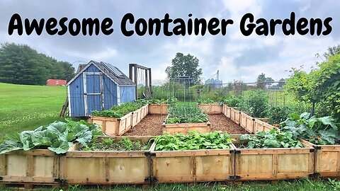 Creative Container Gardens: Stunning Veggies, Flowers & Herbs