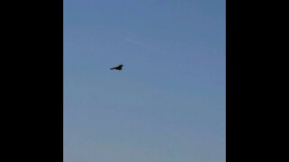 Redtail Hawk over downtown Morgan Hill and El Toro Trail Park