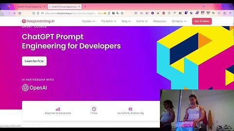 ChatGPT Prompt Engineering for Developers - Transforming pt 2
