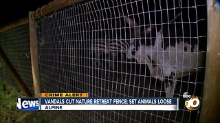 Vandals cut nature retreat fence; set animals loose