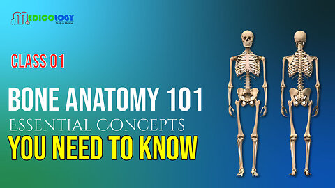 Bone Anatomy 101: Essential Concepts You Need to Know