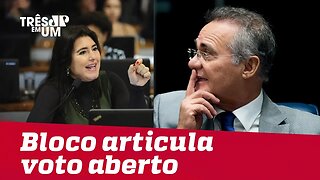 Bloco anti-Renan articula voto aberto no Senado